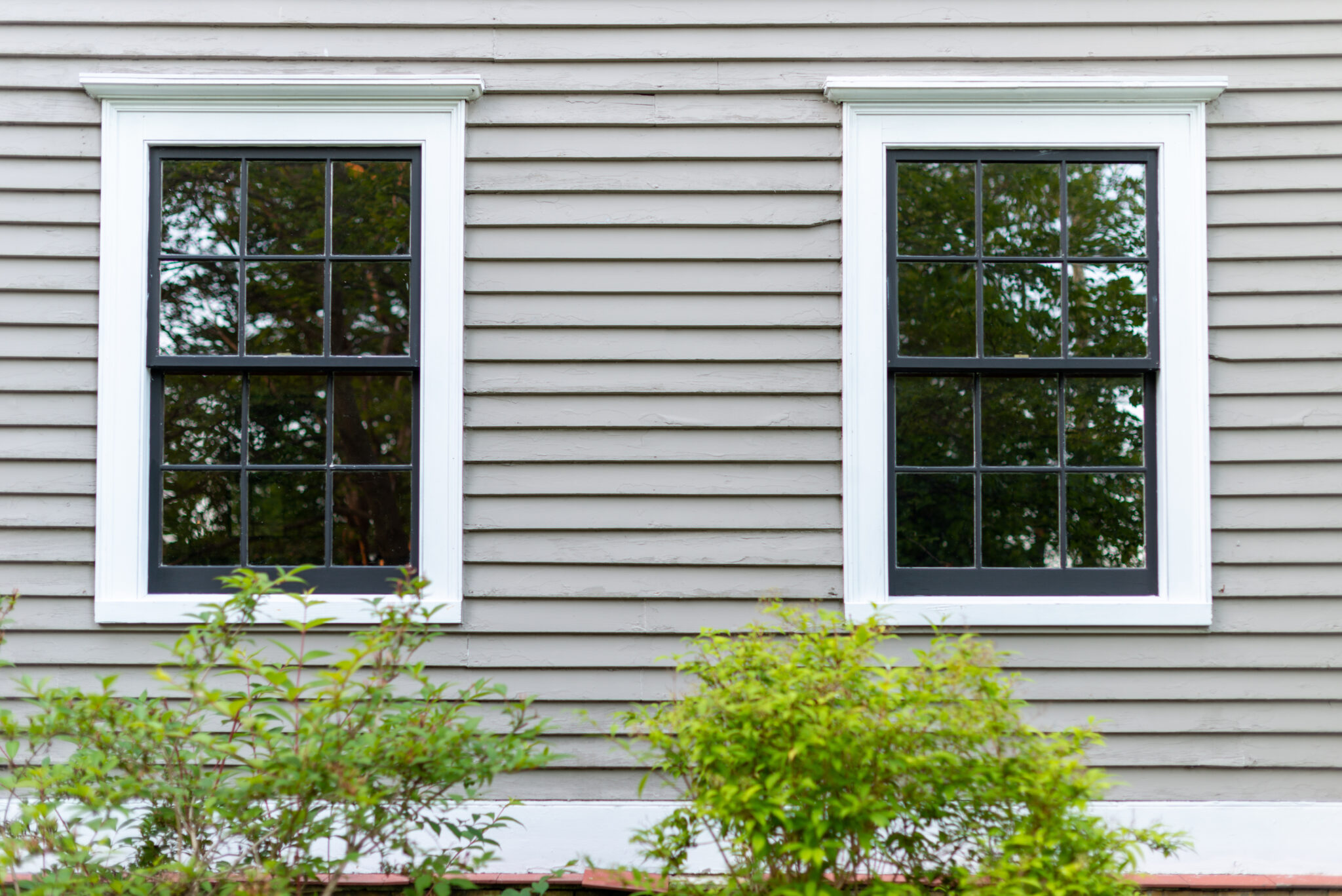 The Homeowner’s In-Depth Guide to Double-Pane Windows | MyHomePros