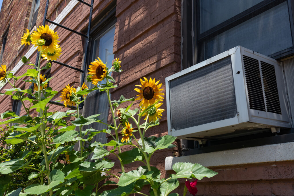 window ac unit with yellow flowers