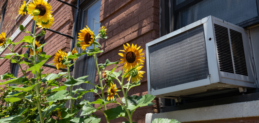 window ac unit with yellow flowers