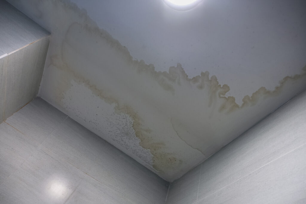 water stain on the ceiling