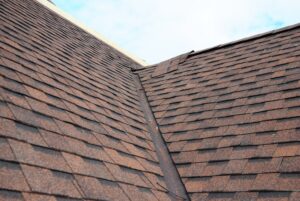 asphalt shingles, close up of roof
