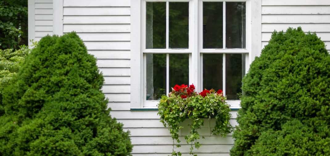 double hung windows with a black wood frame