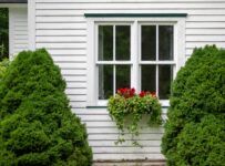 double hung windows with a black wood frame