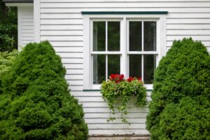 double hung windows with a black wood frame