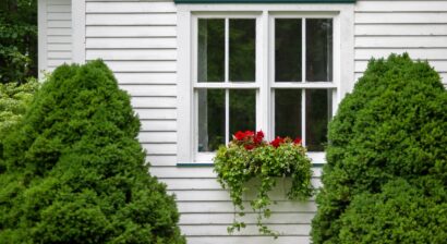 double hung windows with a black wood frame