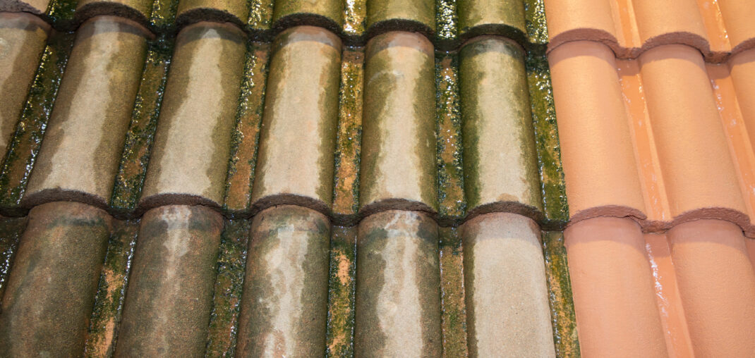 comparison of roof before and after clean