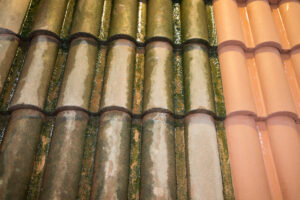 comparison of roof before and after clean