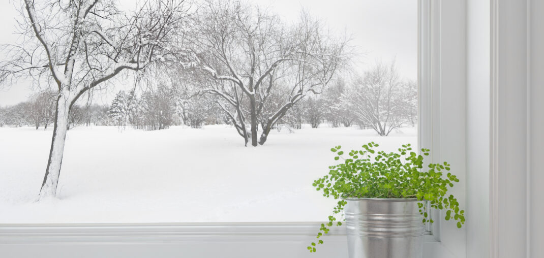 winter landscape seen through the window