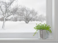 winter landscape seen through the window