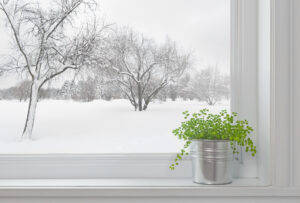 winter landscape seen through the window