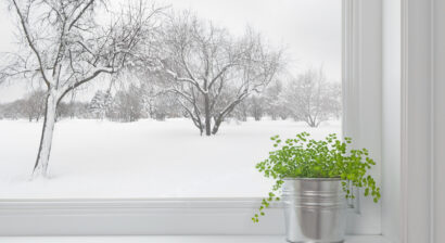 winter landscape seen through the window