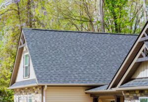 asphalt shingles on roof