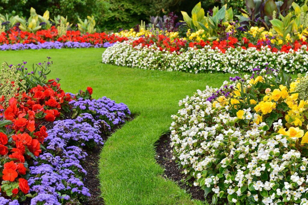 scenic view of yard with colorful flowers in bloom