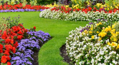 scenic view of yard with colorful flowers in bloom