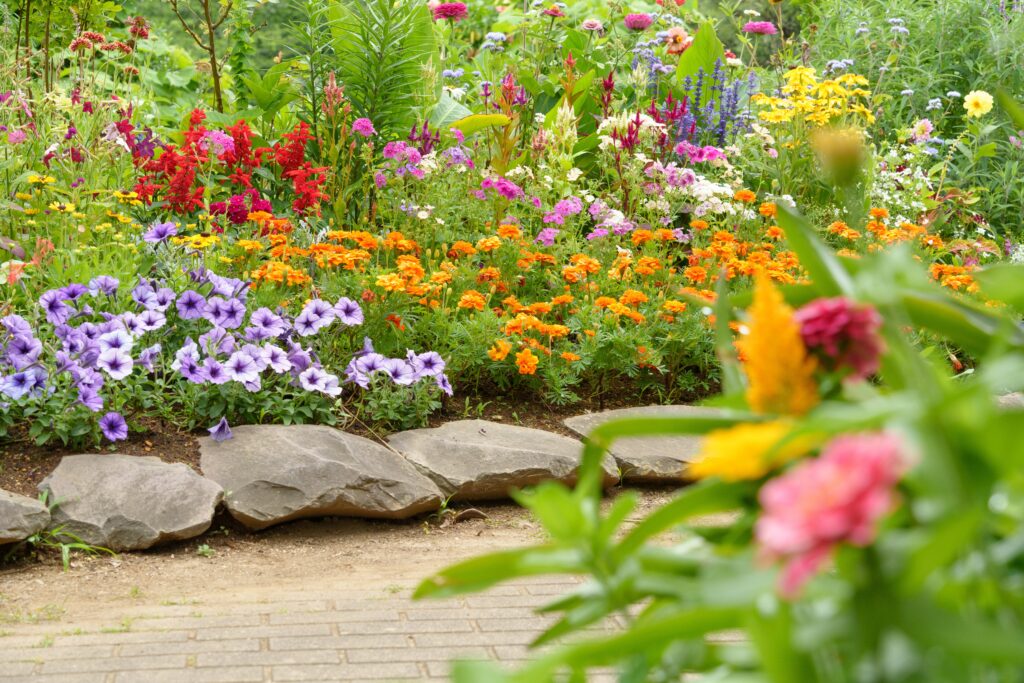 flower bed with a variety of flowers