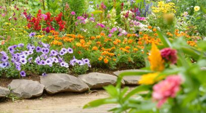 flower bed with a variety of flowers
