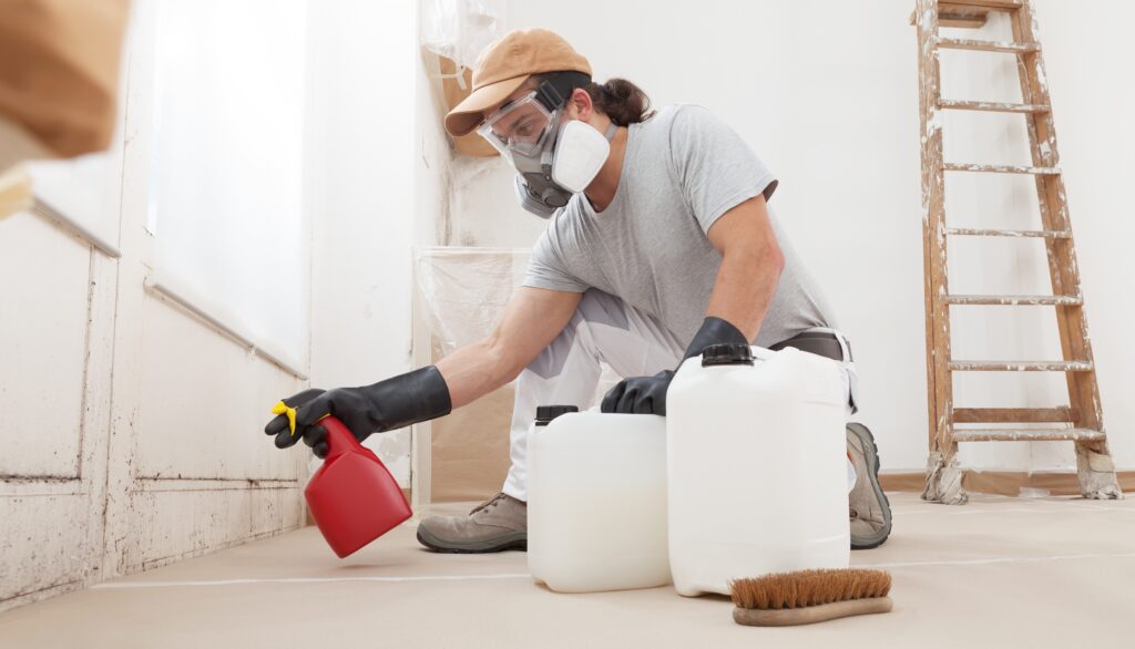in home renovation with man cleaning black mold with gloves, spray bottle and mask on