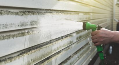cleaning algae and mold from siding of house