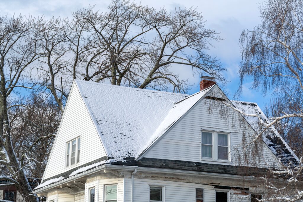 house with snow on roof and winter trees