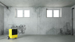 mold after water damage in basement