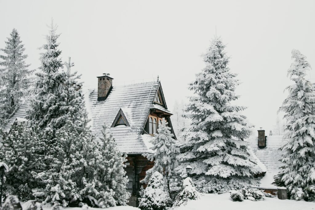 wooden house between covered trees in snow