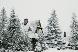 wooden house between covered trees in snow