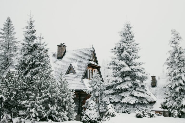 wooden house between covered trees in snow