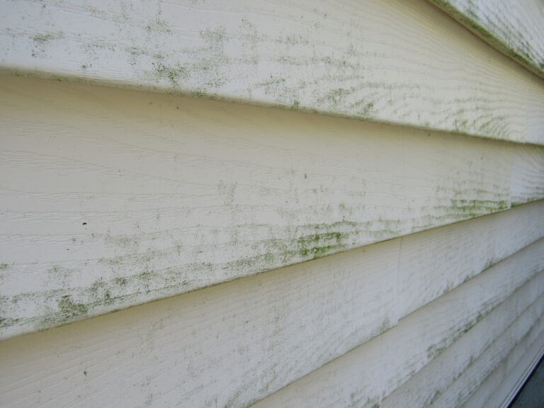 mold and mildew on the side of a house