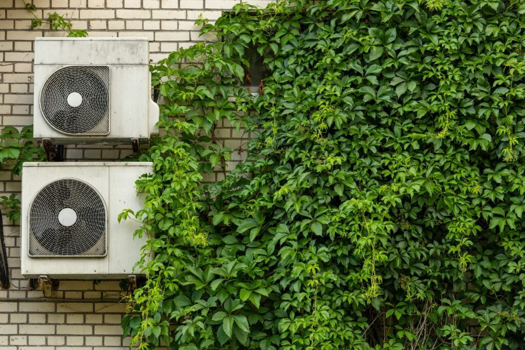 air conditioners installed on outdoor of home next to ivy